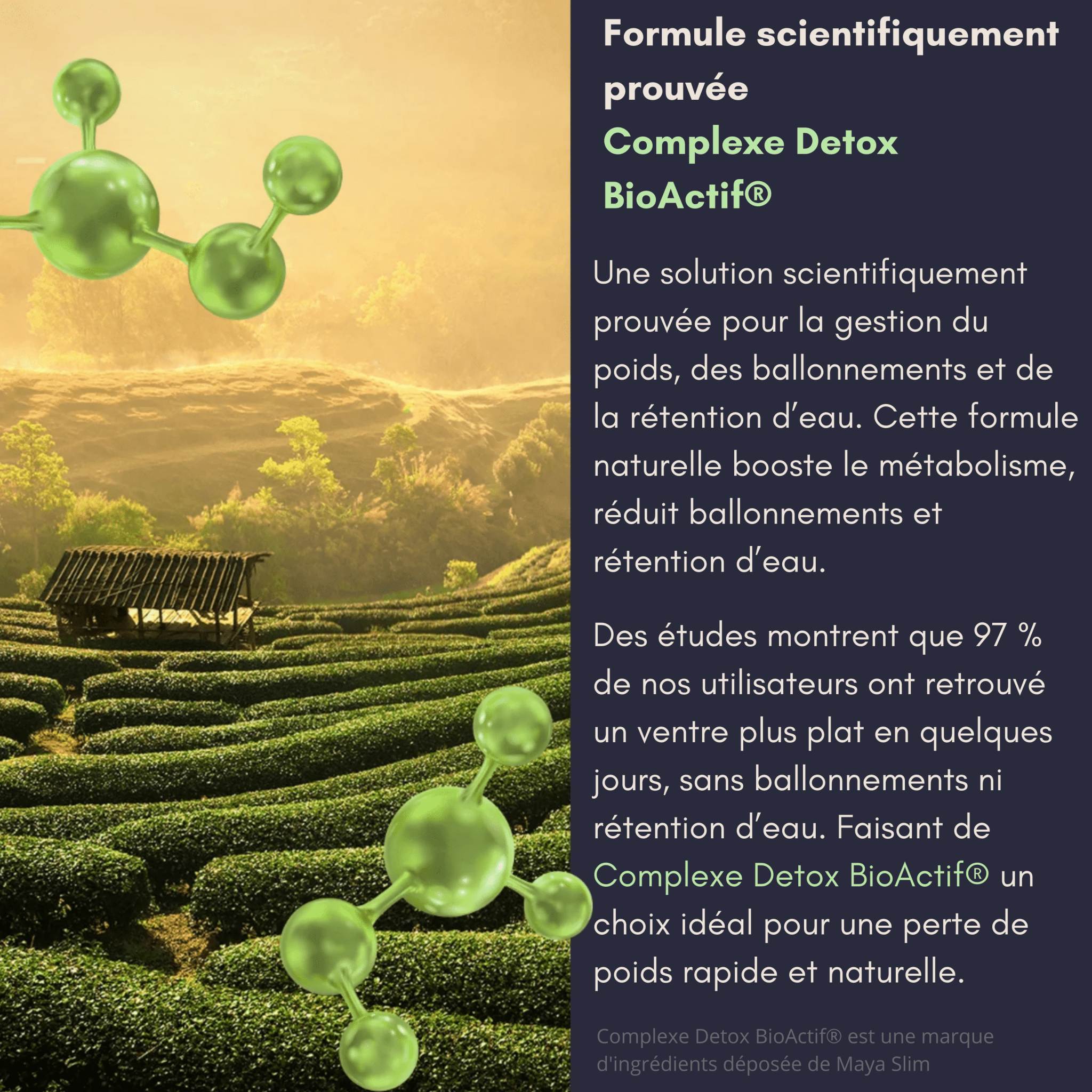 Thé Minceur Detox - Maya Slim