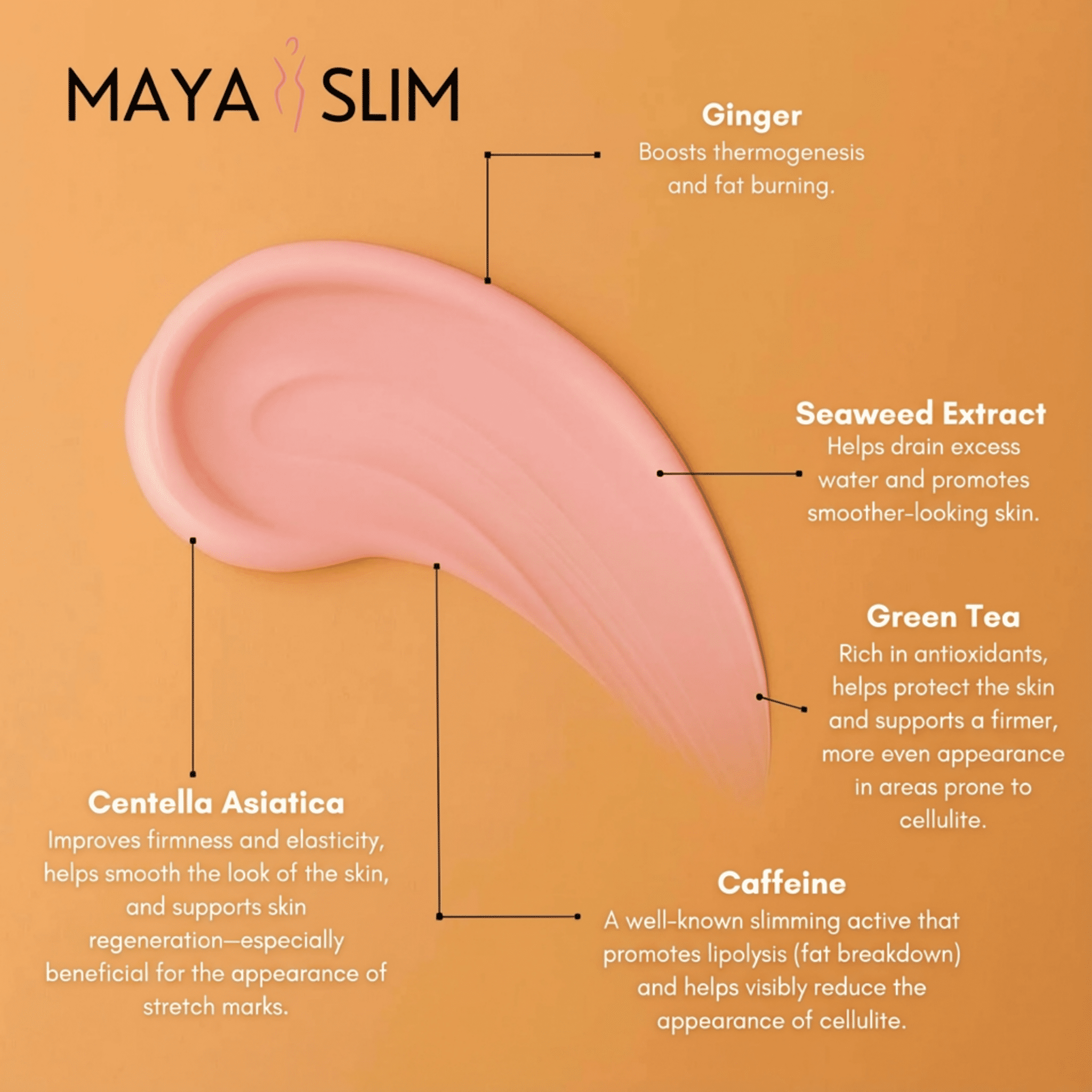 Crème Raffermissante - Maya Slim